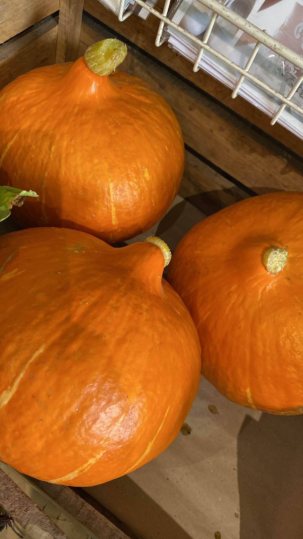 Kürbis aus unserem Garten